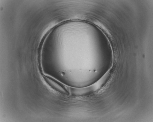 X0000076270991200610122251