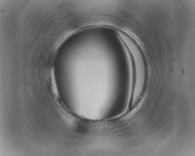 X0000076270993200610122251