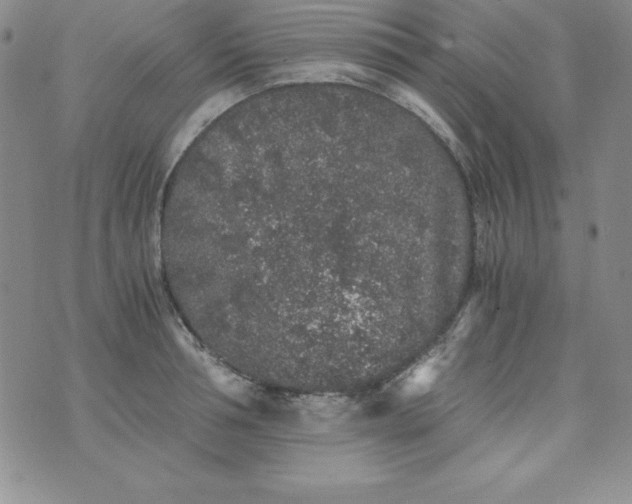 X0000076270994200610122250