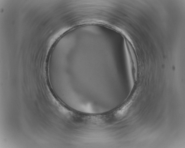 X0000076270995200610122250