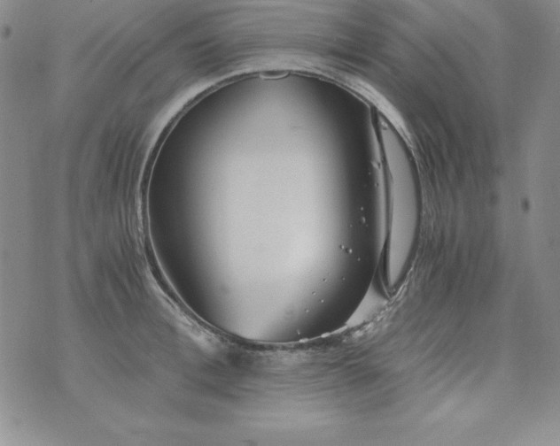 X0000076270996200610122250