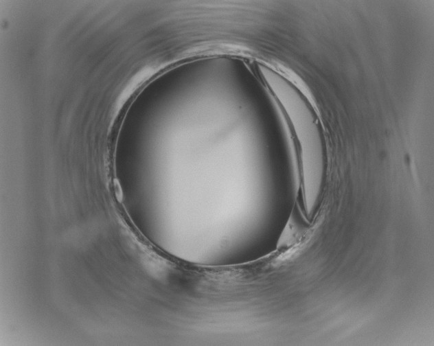 X0000076270997200610122250