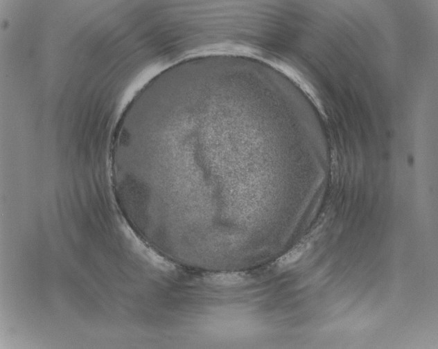 X0000076270998200610122250