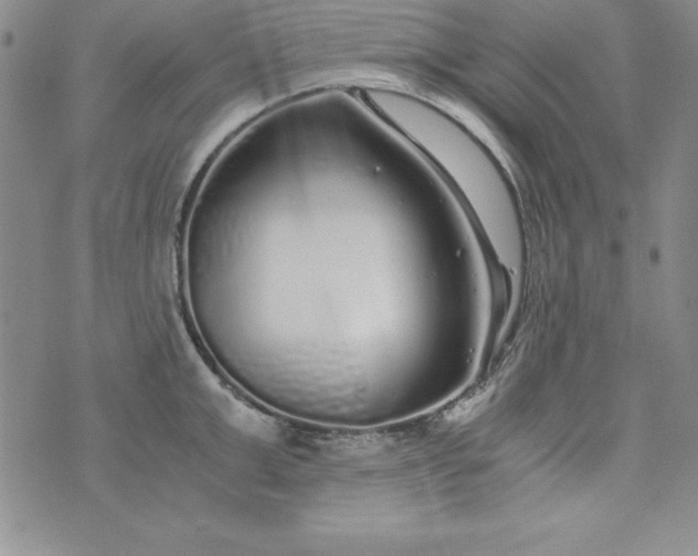 X0000076270999200610122250