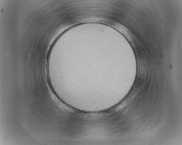 X0000076271000200610122250