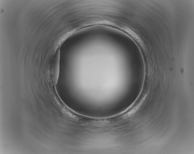 X0000076271001200610122250