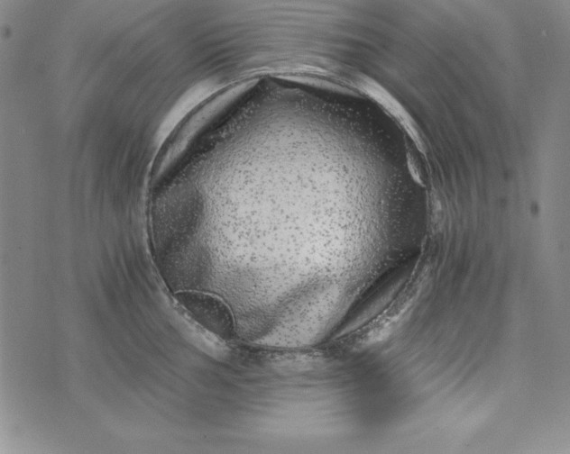 X0000076271002200610122250