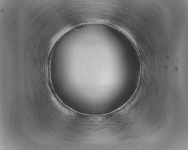 X0000076271003200610122250