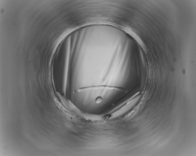 X0000076271004200610122250