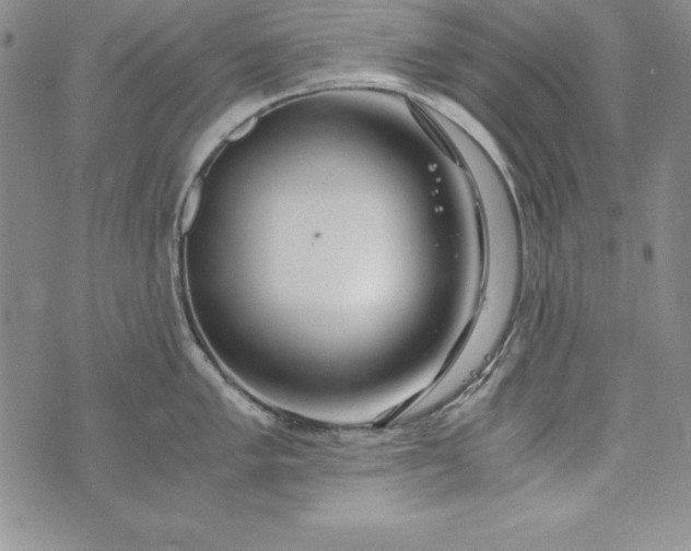 X0000076271005200610122250