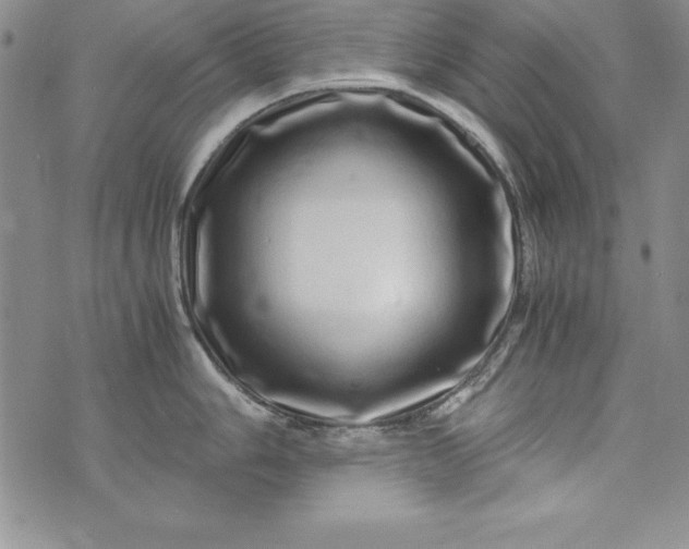 X0000076271006200610122250