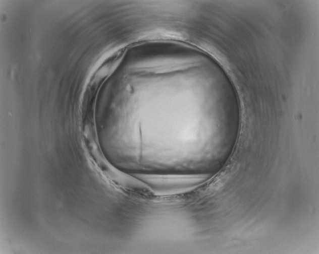 X0000076271008200610122250