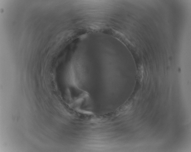 X0000076271009200610122249