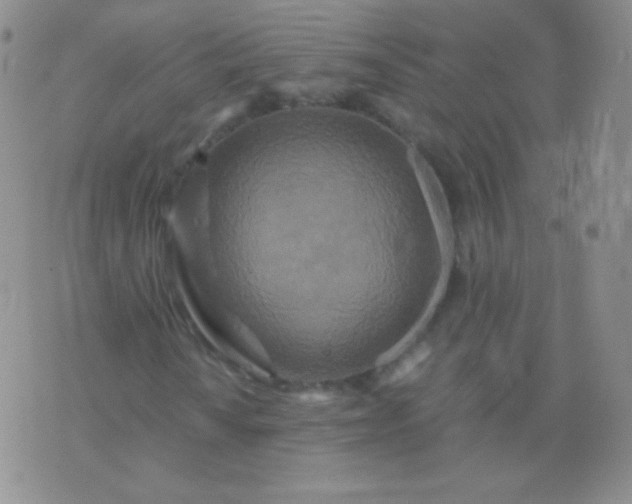 X0000076271010200610122250