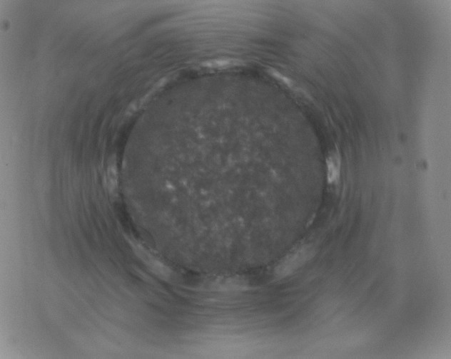 X0000076271011200610122250