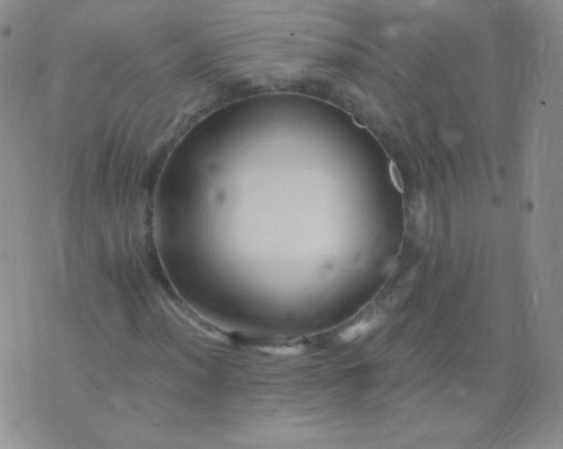 X0000076271012200610122250