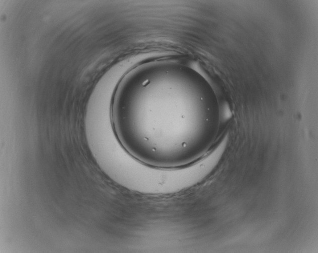 X0000076271014200610122250