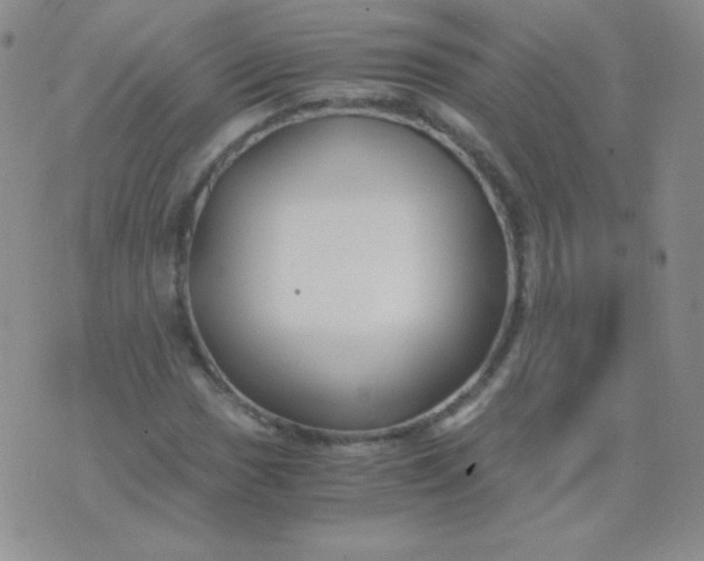 X0000076271017200610122250