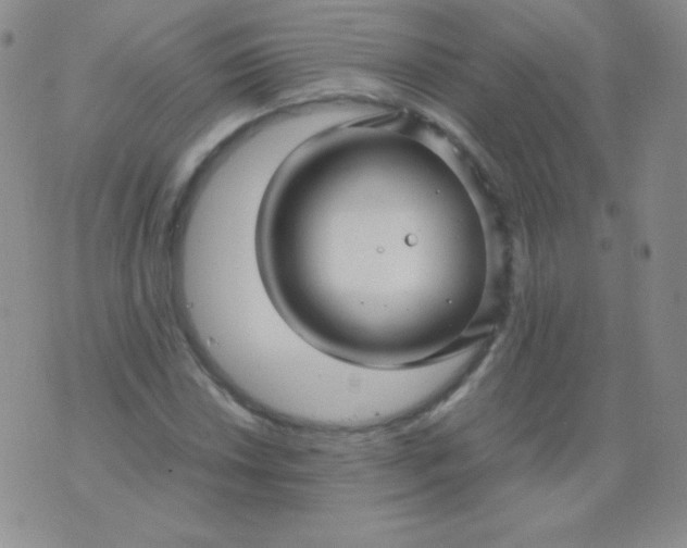 X0000076271018200610122250