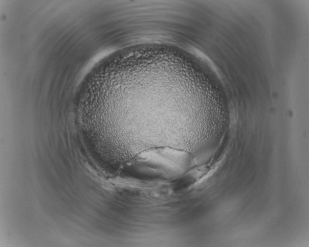 X0000076271019200610122250