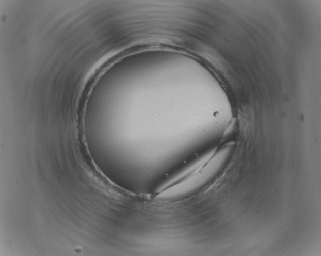 X0000076271020200610122250