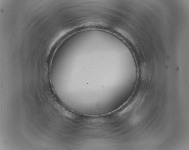 X0000076271021200610122250