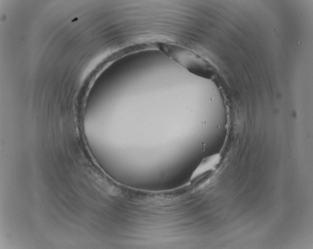 X0000076271022200610122250