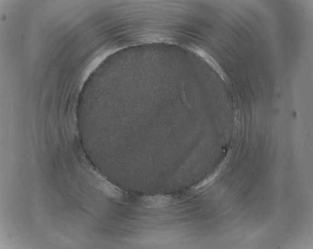 X0000076271023200610122250