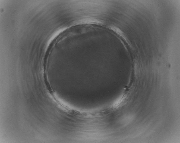 X0000076271024200610122250