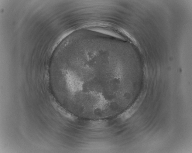 X0000076271025200610122250