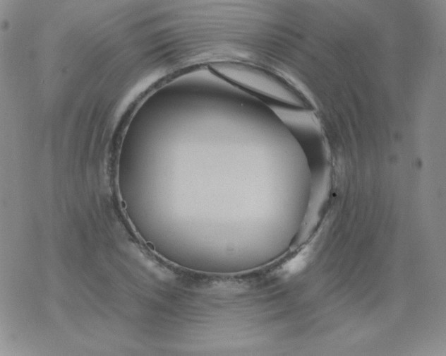 X0000076271026200610122250