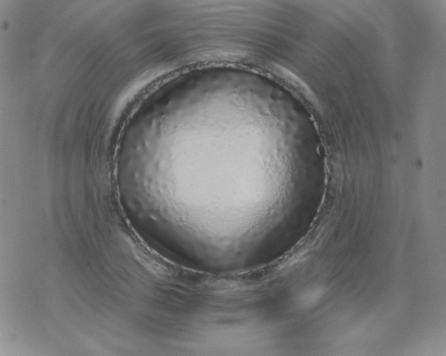 X0000076271027200610122250