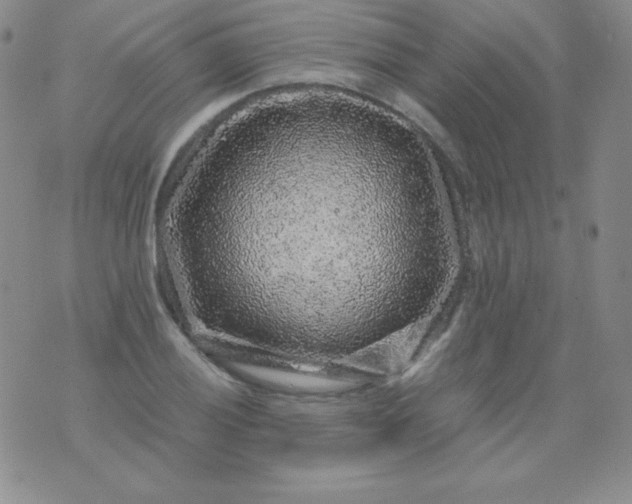 X0000076271028200610122250