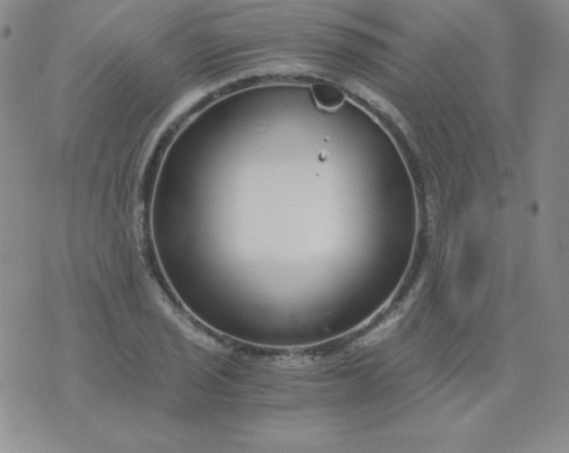 X0000076271029200610122250