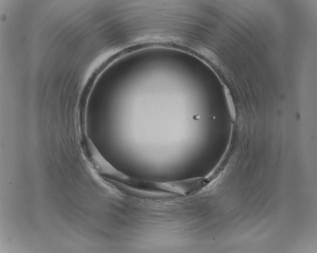 X0000076271030200610122250