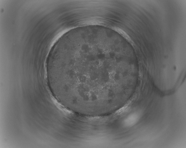 X0000076271031200610122250