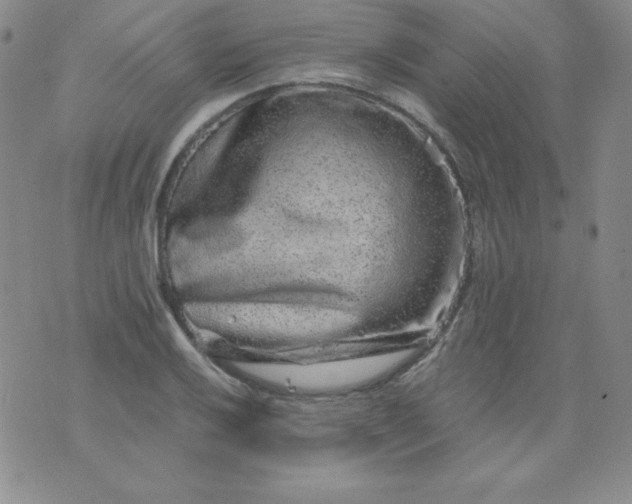 X0000076271032200610122250