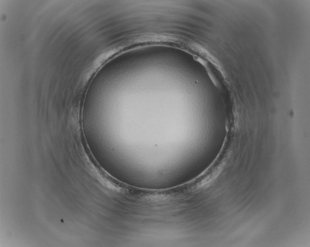 X0000076271033200610122250