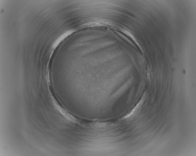 X0000076271034200610122250