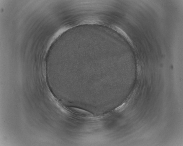 X0000076271035200610122250