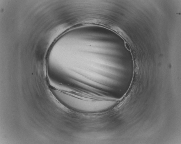 X0000076271036200610122250