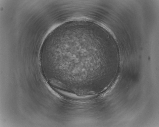 X0000076271037200610122250