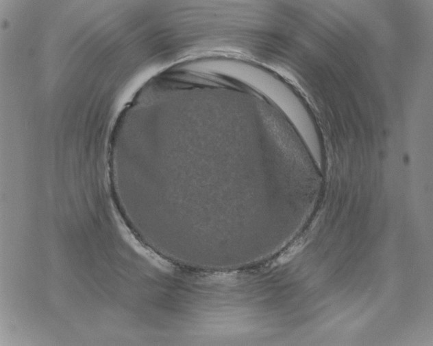 X0000076271038200610122250