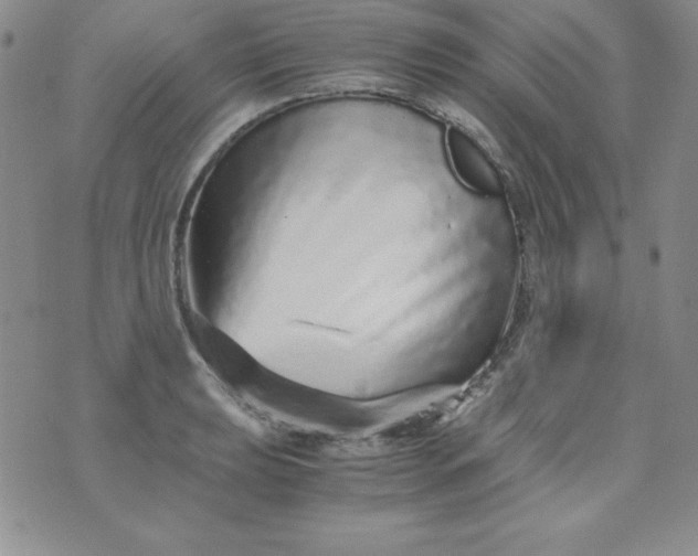 X0000076271039200610122250