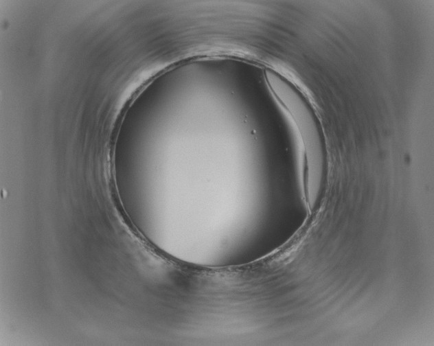 X0000076271040200610122250