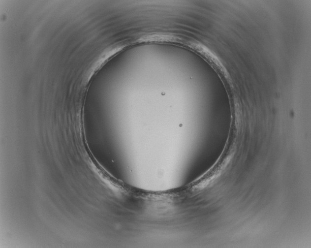 X0000076271041200610122250