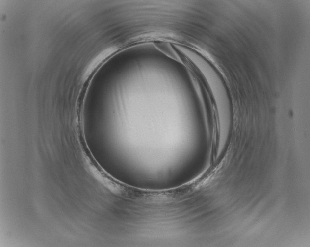 X0000076271042200610122250