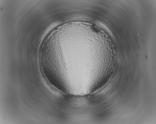 X0000076271043200610122250