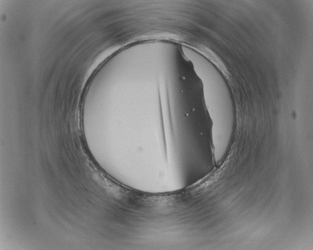 X0000076271044200610122250