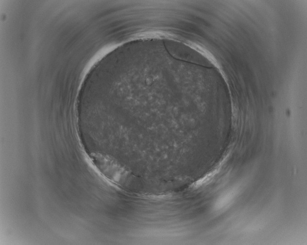 X0000076271045200610122250